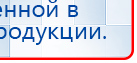 СКЭНАР-1-НТ (исполнение 02.1) Скэнар Про Плюс купить в Броннице, Аппараты Скэнар купить в Броннице, Скэнар официальный сайт - denasvertebra.ru